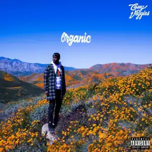 Casey Veggies - Mirage